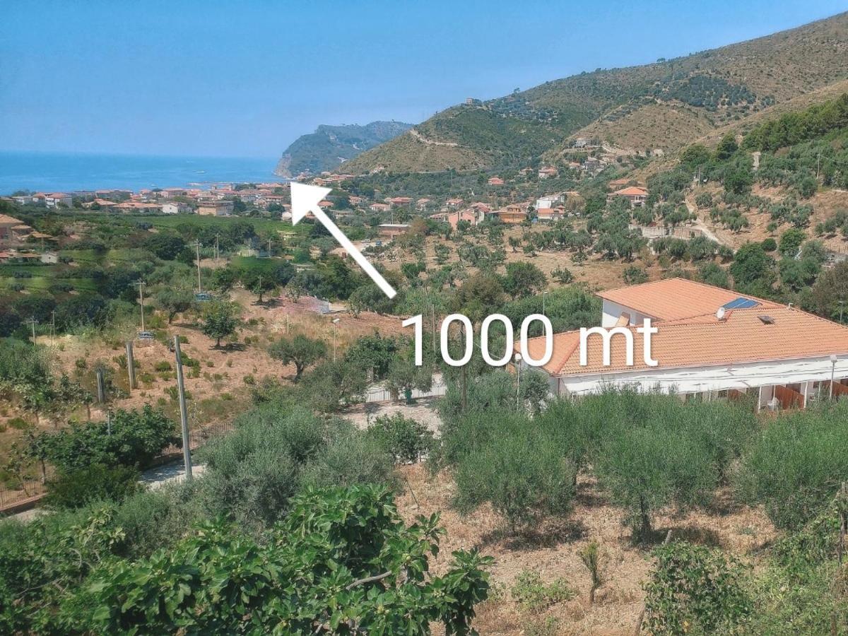 Tenuta Marga Agnone Cilento Bagian luar foto
